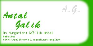 antal galik business card